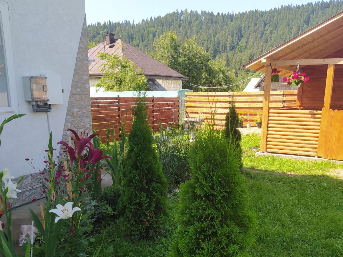 Casa Moldovita Exteriér fotografie